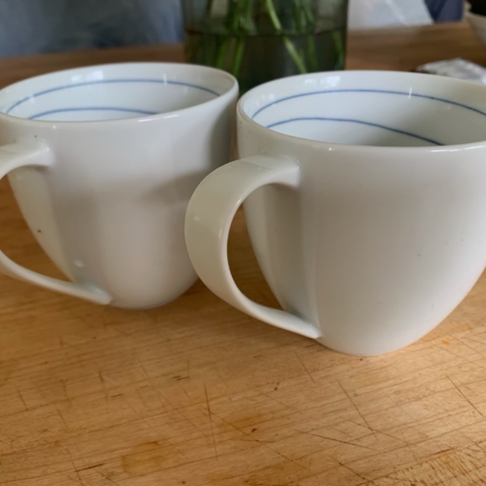 Pair of pottery barn swirl mugs